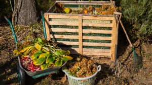 compost (1920 x 1080 px)
