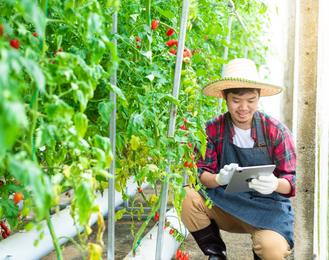 How to Become an Ag Day Influencer