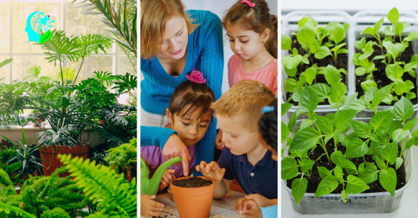 growing-easy-indoor-plants-from-seed-a-beginners-guide (1)